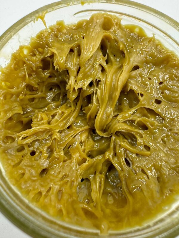 where to buy Rosin Santa Fe, best Rosin Las Cruces, Rosin near me Houston, what is Rosin New Britain, how much does Rosin cost Huntington, where can I find Rosin Manchester, is Rosin legal Bloomington, Rosin for sale Cheyenne, who sells Rosin Johnson City, is Rosin safe Waterloo, what's in Rosin Kyle, how to make Rosin Lincoln, can I buy Rosin online Chicago, Rosin delivery New York, where to find cheap Rosin Phoenix, best Rosin deals Philadelphia, how much is Rosin Las Vegas, Rosin prices Albuquerque, what are the effects of Rosin Buffalo, Rosin Santa Fe NM, best Rosin Las Cruces NM, Rosin near me Houston TX, what is Rosin New Britain CT, how to dab Rosin Huntington WV, who makes Rosin Manchester NH, is it legal to buy Rosin Bloomington IN, Rosin online Cheyenne WY, who sells legal Rosin Johnson City TN, is Rosin good Waterloo IA, what is live Rosin Kyle TX, how strong is Rosin Lincoln NE, can you get Rosin delivered Chicago IL, Rosin legal states New York NY, where can I buy Rosin Phoenix AZ, best Rosin brand Philadelphia PA, Rosin cost Las Vegas NV, where to buy Rosin Albuquerque NM, is Rosin worth it Buffalo NY, Rosin review Santa Fe NM, Rosin for sale Las Cruces NM, Rosin online Houston TX, effects of Rosin New Britain CT, is Rosin potent Huntington WV, is Rosin addictive Manchester NH, is Rosin expensive Bloomington IN, Rosin prices near me Cheyenne WY, Rosin discount Johnson City TN, Rosin flavors Waterloo IA, Rosin dosage Kyle TX, Rosin quality Lincoln NE